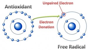 image_antioxidant